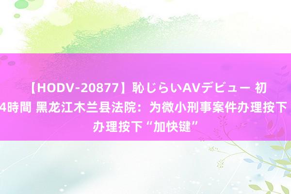 【HODV-20877】恥じらいAVデビュー 初セックス4時間 黑龙江木兰县法院：为微小刑事案件办理按下“加快键”