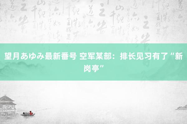 望月あゆみ最新番号 空军某部：排长见习有了“新岗亭”