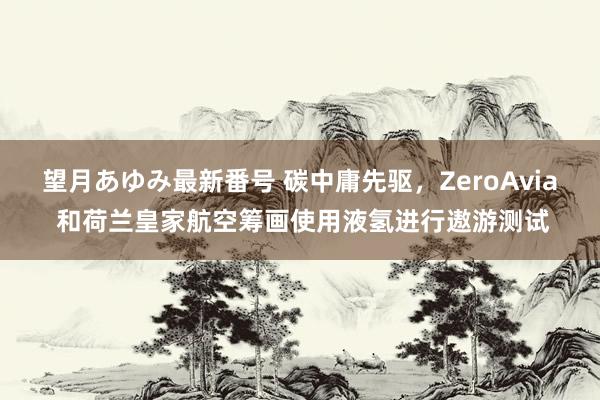 望月あゆみ最新番号 碳中庸先驱，ZeroAvia 和荷兰皇家航空筹画使用液氢进行遨游测试