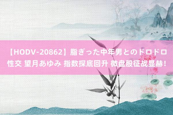 【HODV-20862】脂ぎった中年男とのドロドロ性交 望月あゆみ 指数探底回升 微盘股征战显赫！