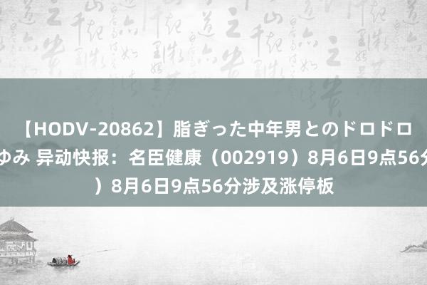 【HODV-20862】脂ぎった中年男とのドロドロ性交 望月あゆみ 异动快报：名臣健康（002919）8月6日9点56分涉及涨停板