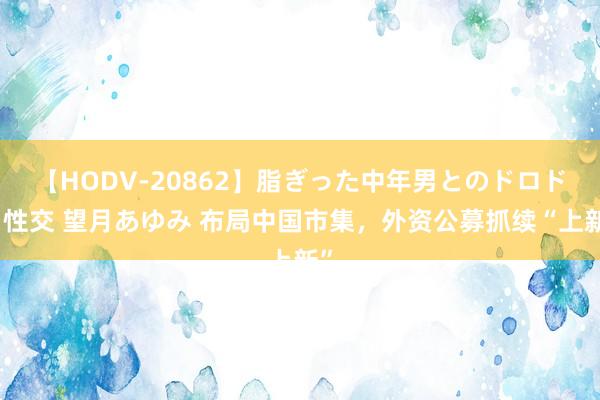 【HODV-20862】脂ぎった中年男とのドロドロ性交 望月あゆみ 布局中国市集，外资公募抓续“上新”