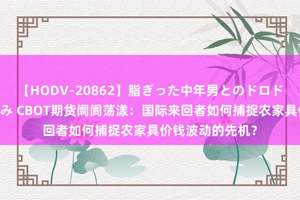 【HODV-20862】脂ぎった中年男とのドロドロ性交 望月あゆみ CBOT期货阛阓荡漾：国际来回者如何捕捉农家具价钱波动的先机？