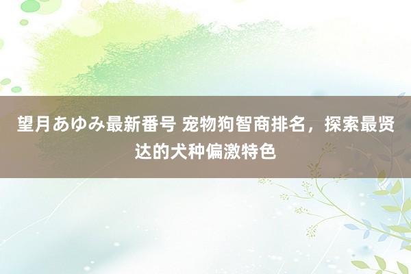 望月あゆみ最新番号 宠物狗智商排名，探索最贤达的犬种偏激特色