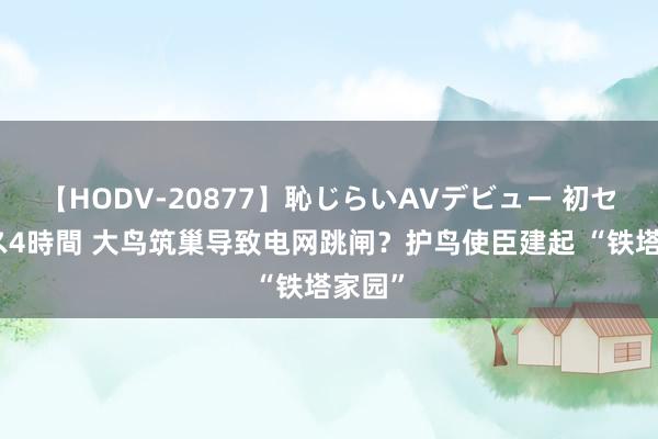 【HODV-20877】恥じらいAVデビュー 初セックス4時間 大鸟筑巢导致电网跳闸？护鸟使臣建起 “铁塔家园”