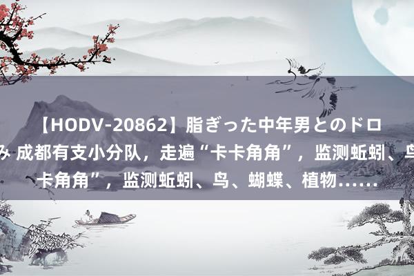 【HODV-20862】脂ぎった中年男とのドロドロ性交 望月あゆみ 成都有支小分队，走遍“卡卡角角”，监测蚯蚓、鸟、蝴蝶、植物……