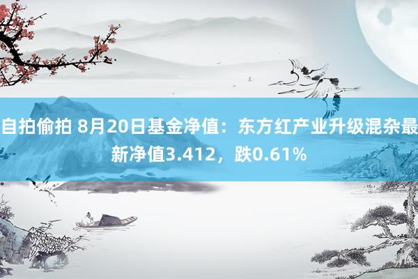 自拍偷拍 8月20日基金净值：东方红产业升级混杂最新净值3.412，跌0.61%