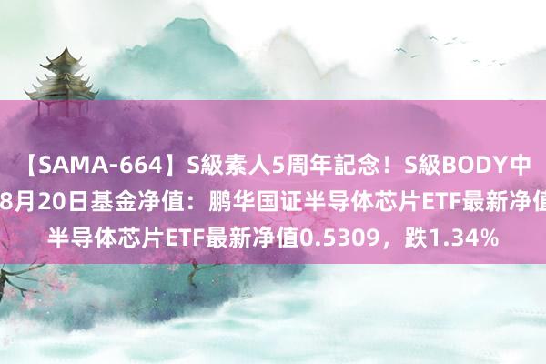 【SAMA-664】S級素人5周年記念！S級BODY中出しBEST30 8時間 8月20日基金净值：鹏华国证半导体芯片ETF最新净值0.5309，跌1.34%