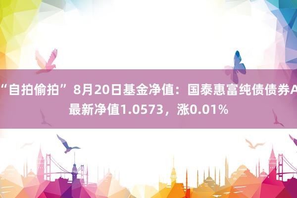 “自拍偷拍” 8月20日基金净值：国泰惠富纯债债券A最新净值1.0573，涨0.01%