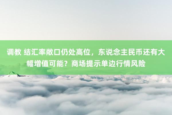 调教 结汇率敞口仍处高位，东说念主民币还有大幅增值可能？商场提示单边行情风险