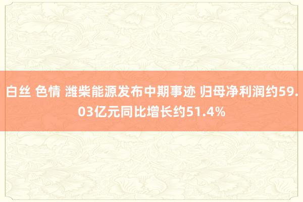 白丝 色情 潍柴能源发布中期事迹 归母净利润约59.03亿元同比增长约51.4%