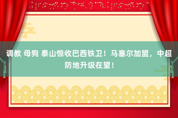 调教 母狗 泰山惊收巴西铁卫！马塞尔加盟，中超防地升级在望！