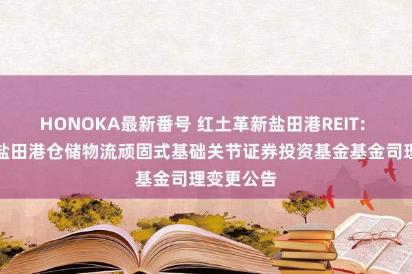 HONOKA最新番号 红土革新盐田港REIT: 红土革新盐田港仓储物流顽固式基础关节证券投资基金基金司理变更公告