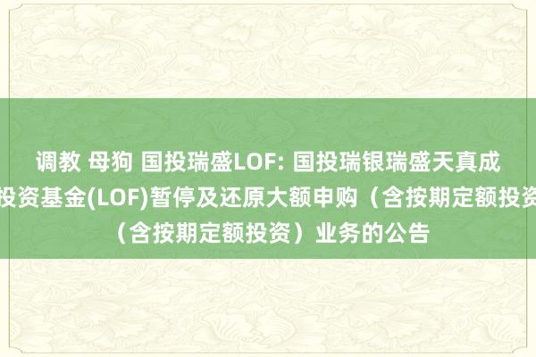 调教 母狗 国投瑞盛LOF: 国投瑞银瑞盛天真成立羼杂型证券投资基金(LOF)暂停及还原大额申购（含按期定额投资）业务的公告