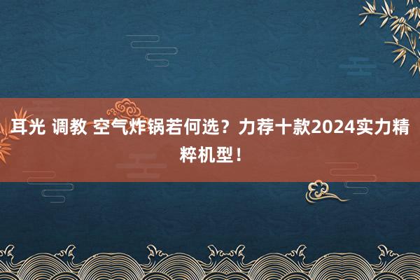 耳光 调教 空气炸锅若何选？力荐十款2024实力精粹机型！