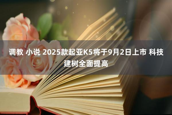 调教 小说 2025款起亚K5将于9月2日上市 科技建树全面提高