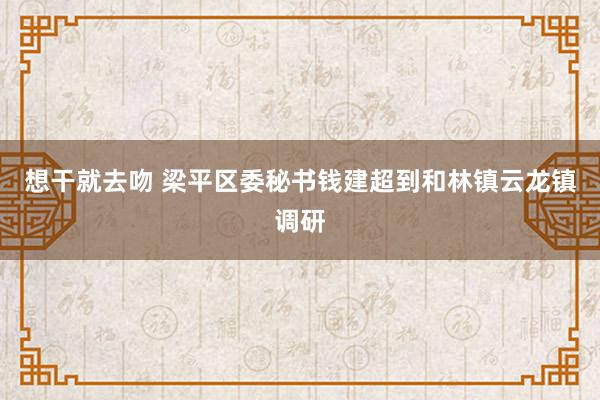 想干就去吻 梁平区委秘书钱建超到和林镇云龙镇调研