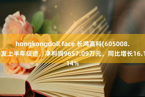 hongkongdoll face 长鸿高科(605008.SH)发上半年级迹，净利润9657.09万元，同比增长16.14%