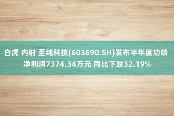 白虎 内射 至纯科技(603690.SH)发布半年度功绩 净利润7374.34万元 同比下跌32.19%