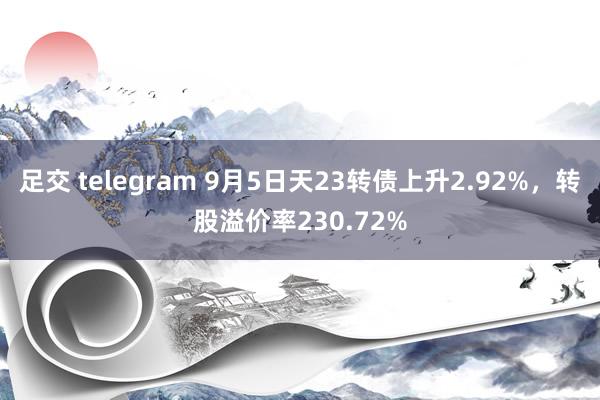 足交 telegram 9月5日天23转债上升2.92%，转股溢价率230.72%