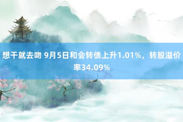 想干就去吻 9月5日和会转债上升1.01%，转股溢价率34.09%