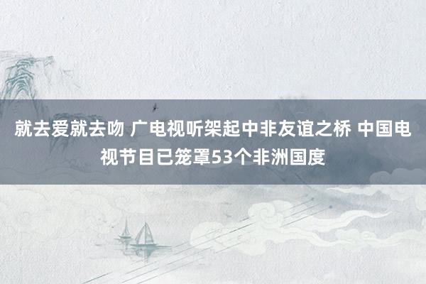 就去爱就去吻 广电视听架起中非友谊之桥 中国电视节目已笼罩53个非洲国度