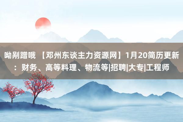 呦剐蹭哦 【邓州东谈主力资源网】1月20简历更新：财务、高等料理、物流等|招聘|大专|工程师